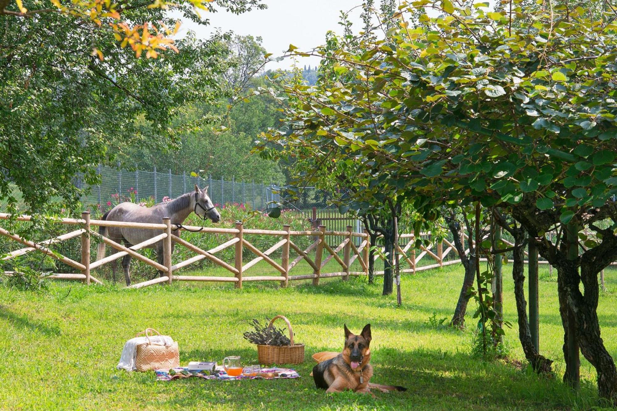 Olea Dei Holiday Apartments Сан-Феліче-дель-Бенако Екстер'єр фото
